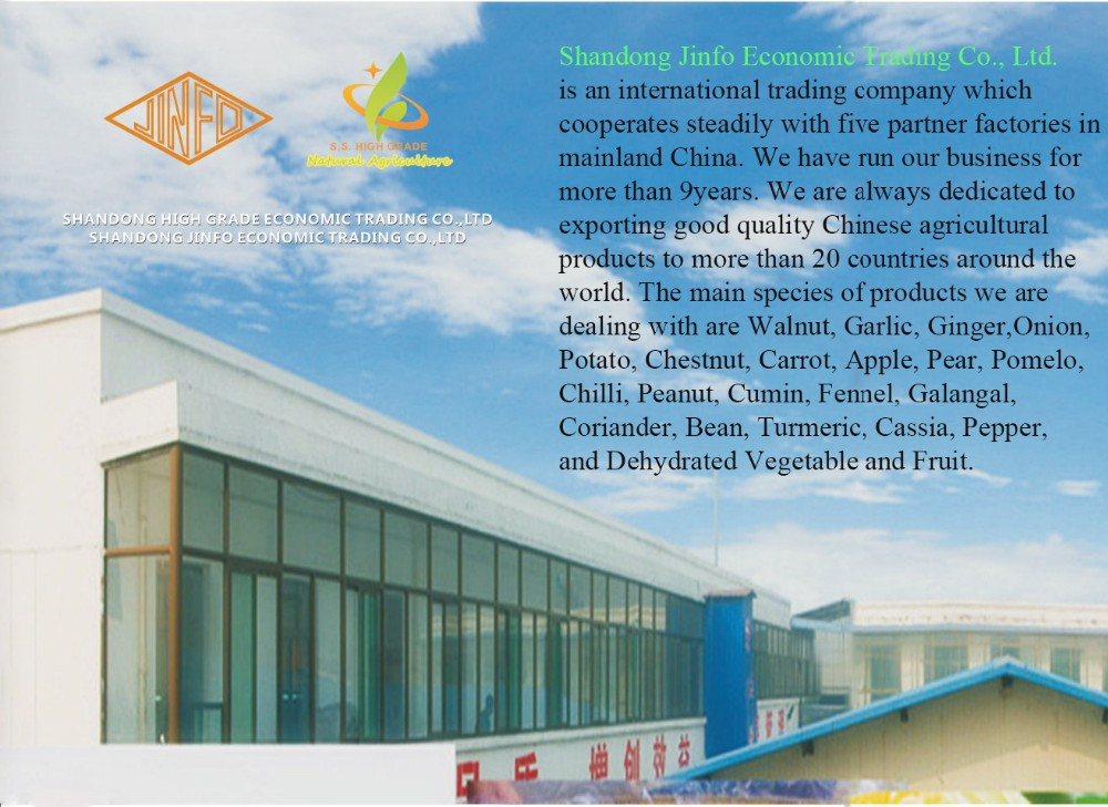 Specializing in the production of agricultural product garlic price in china