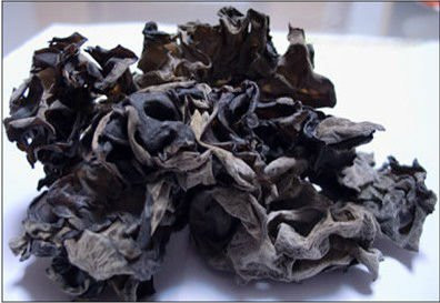 2015 New black fungus