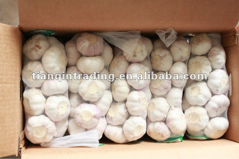 2012 Jinxiang fresh garlic price