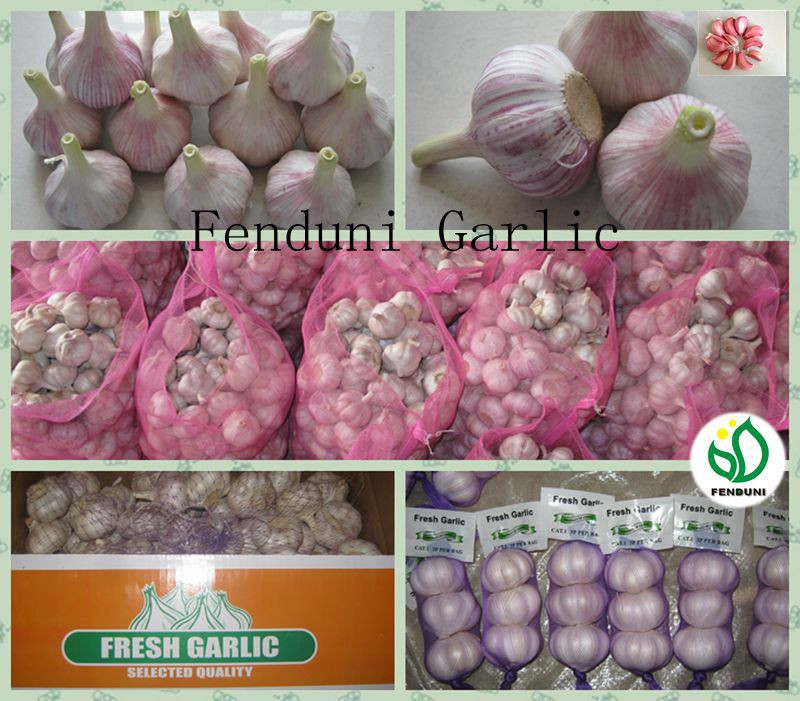 2017 Natural garlic 50mm with high quality and best price