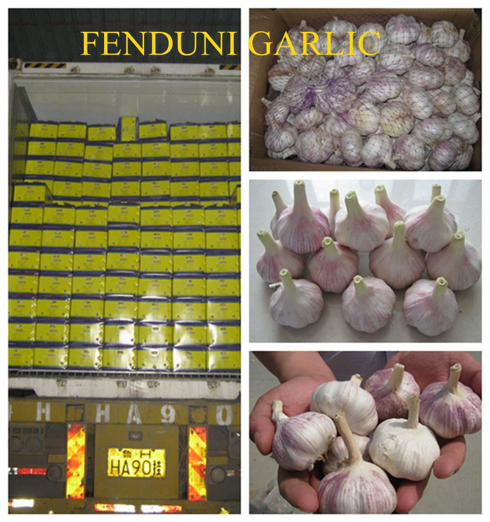 2017 Natural garlic 50mm with high quality and best price