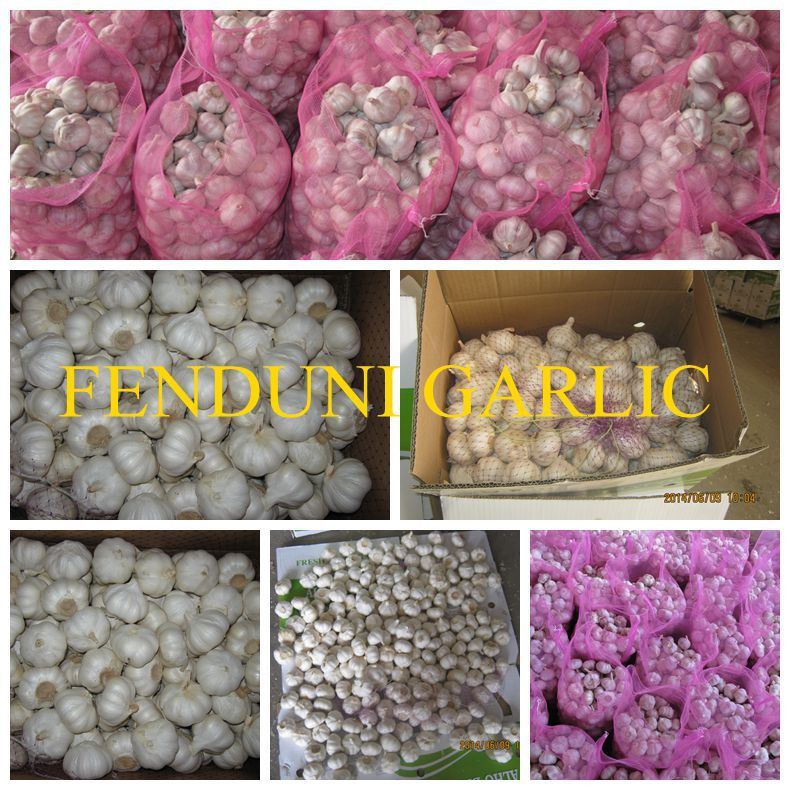 2017 Natural garlic 50mm with high quality and best price