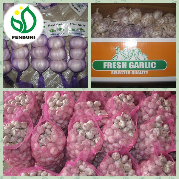 2017 Natural garlic 50mm with high quality and best price