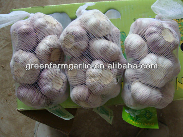 china garlic