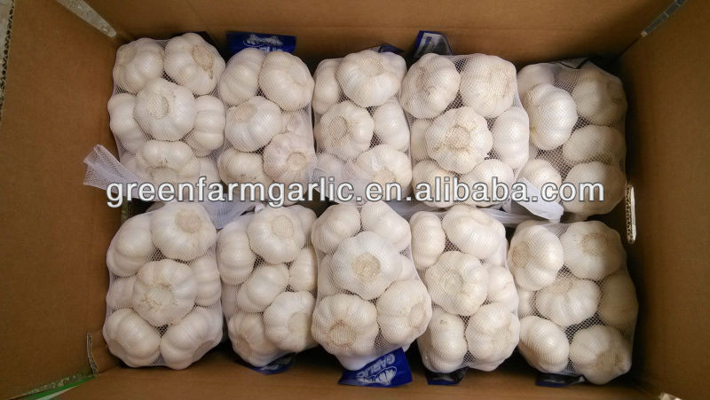 pure white garlic 1kg bag,10kg carton